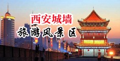 男人爆插嫩得出水的学生妹小穴视频中国陕西-西安城墙旅游风景区